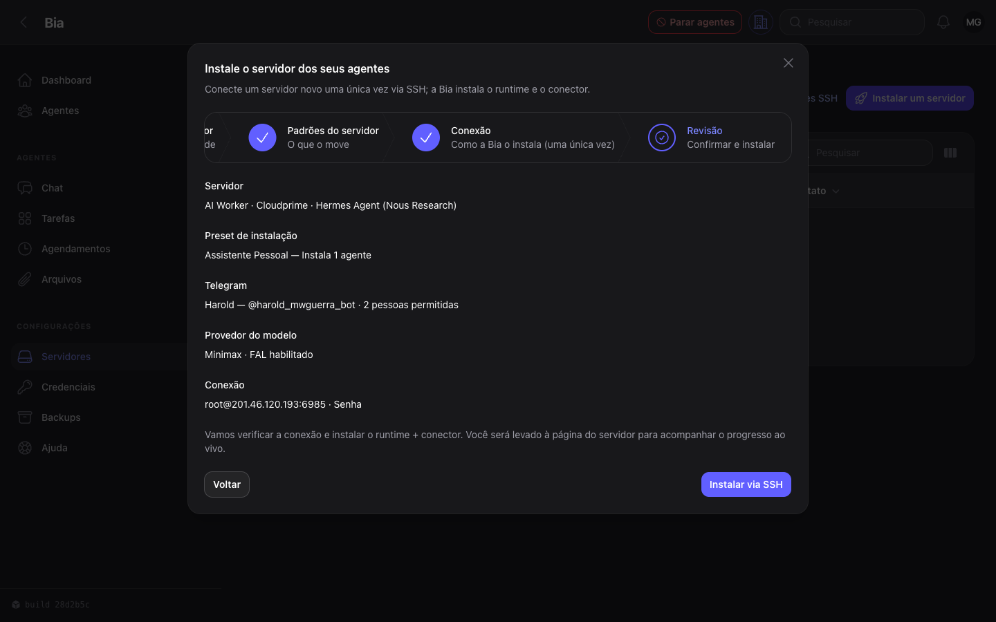 Tela de revisão do assistente, com servidor, preset, Telegram, modelo e conexão